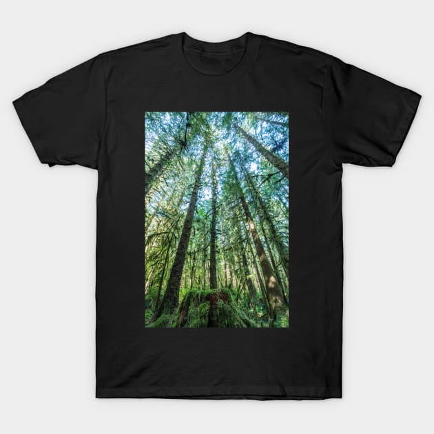 Hoh Rainforest 1 T-Shirt by Sidetrakn